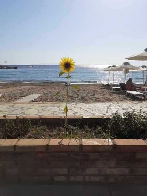 Stoupa Beachside Retro Apartment Eksteriør bilde